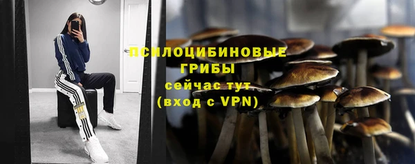 дурь Арсеньев