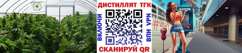 Дистиллят ТГК вейп с тгк  блэк спрут как войти  Уяр 