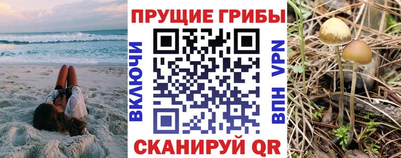 Псилоцибиновые грибы ЛСД  гидра ТОР  Уяр 